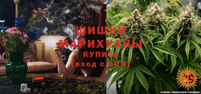 Конопля White Widow  ОМГ ОМГ ТОР  Сорочинск 